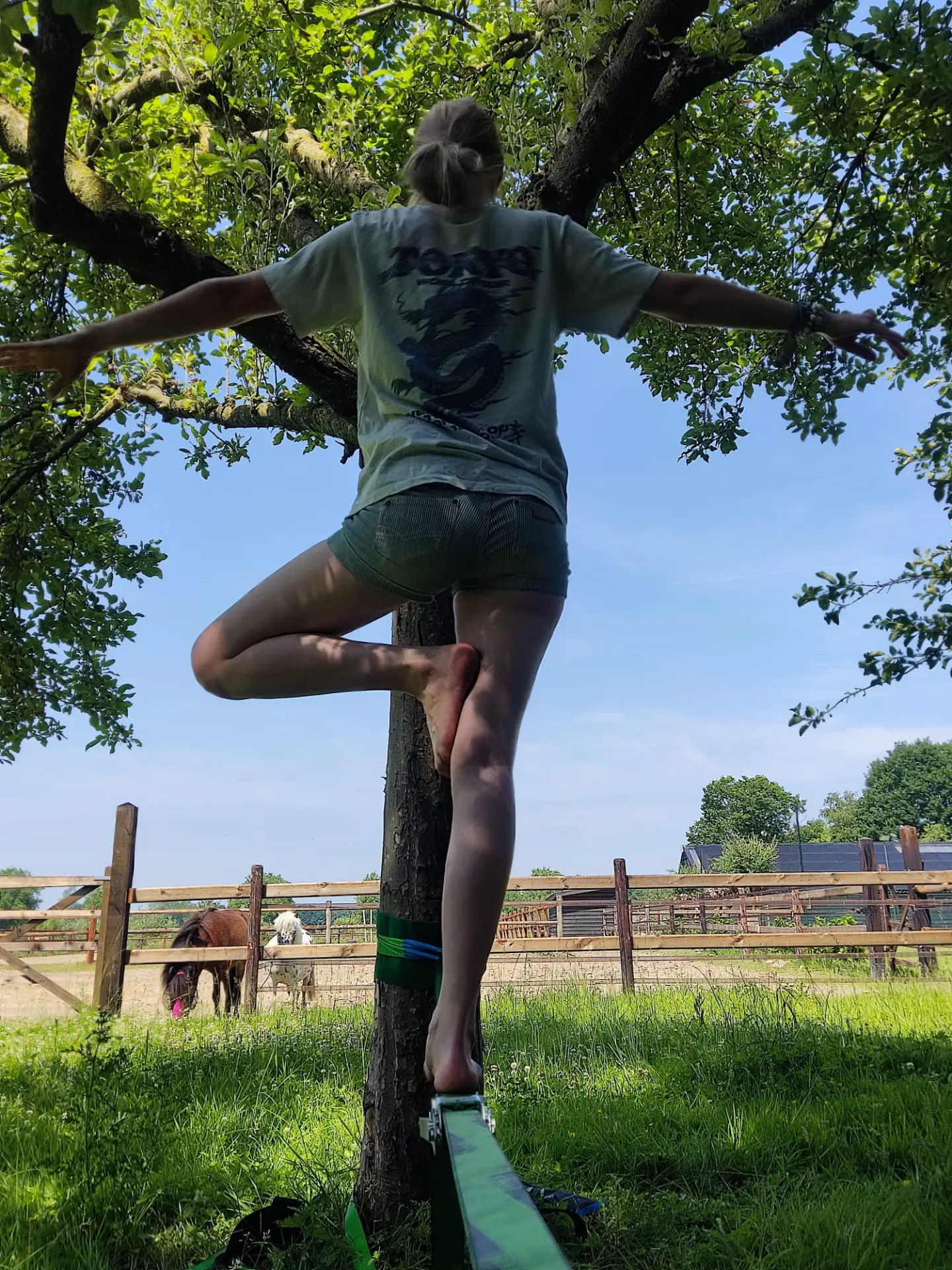 Jongere balanceert op een slackline onder een boom